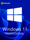 Windows 11 Professional Activation Key